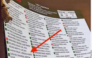 Sumisa a Morena, Verónica Camino vota a favor de liberar a miles de criminales