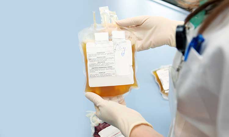 Autorizan en Estados Unidos el uso de plasma para tratar el Covid-19
