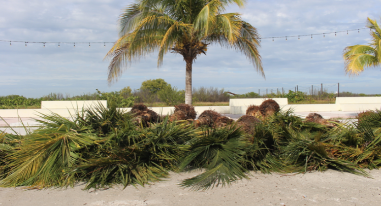 Realizan diversas mejoras al playón poniente de Progreso
