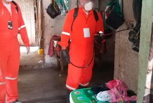 Buscan investigadores de la Uady sacar a los moscos de las casas