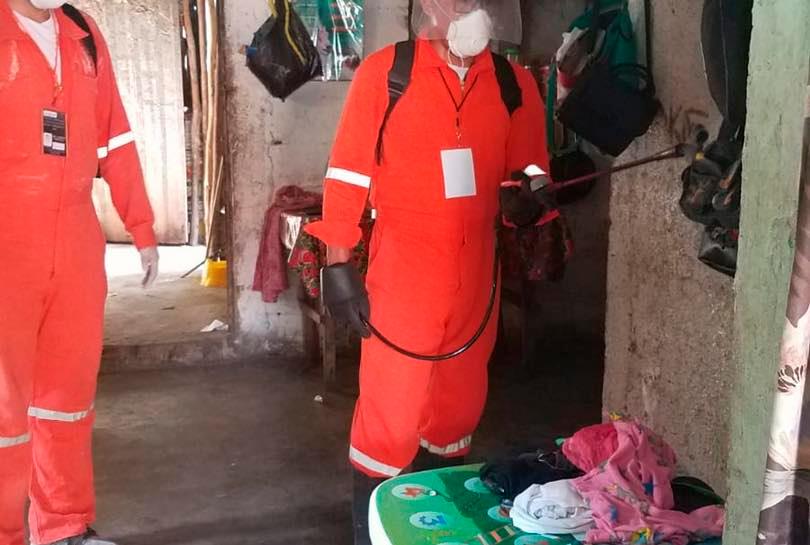 Buscan investigadores de la Uady sacar a los moscos de las casas