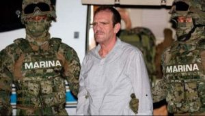 Judicatura federal dice que ningún juez ha ordenado liberar al ‘Güero’ Palma