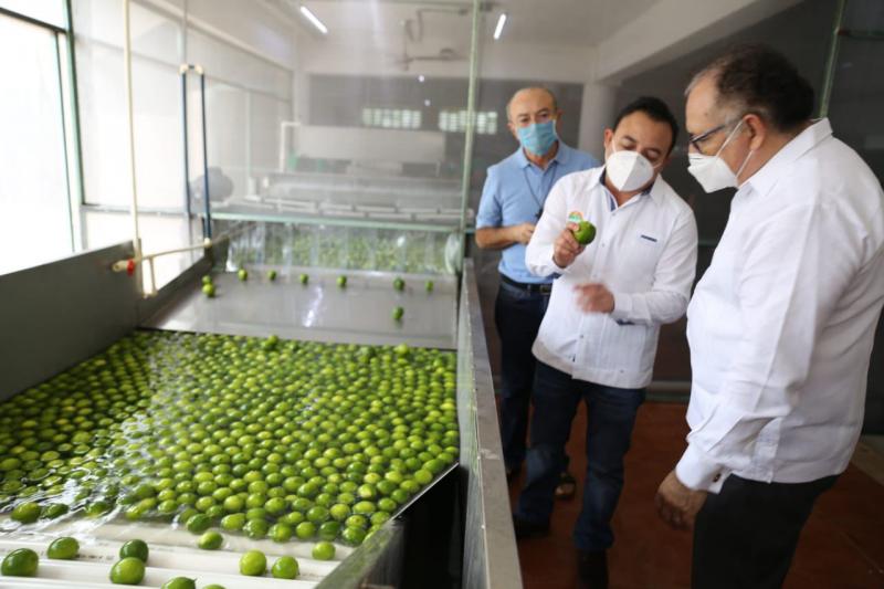 Hasta dos años le tomará a Yucatán recuperar los casi 30 mil empleos que se perdieron a causa de la pandemia