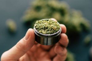 Diputados aprueban proyecto que legaliza la marihuana con fines recreativos