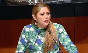 Exigen una disculpa pública a la senadora Verónica Camino Farjat