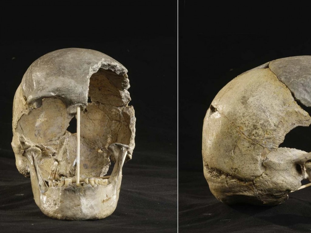 Un cráneo de hace 45,000 años permite identificar el genoma más antiguo correspondiente a los humanos modernos de Europa