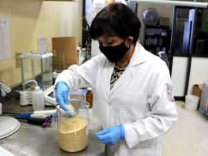 Un estudio del IPN señala que el amaranto reduce niveles de colesterol y triglicéridos