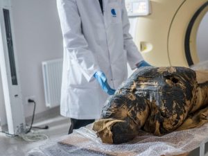 Analizan el feto de la Dama Misteriosa, la única momia egipcia embarazada