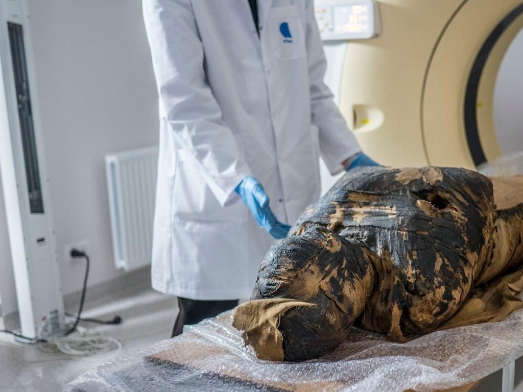 Analizan el feto de la Dama Misteriosa, la única momia egipcia embarazada
