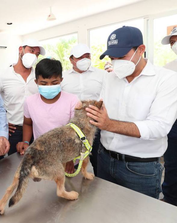Yucatán ya cuenta con Unidad Especializada en Delitos de Maltrato Animal Doméstico para perseguir y castigar el abuso en contra de estos seres vivos