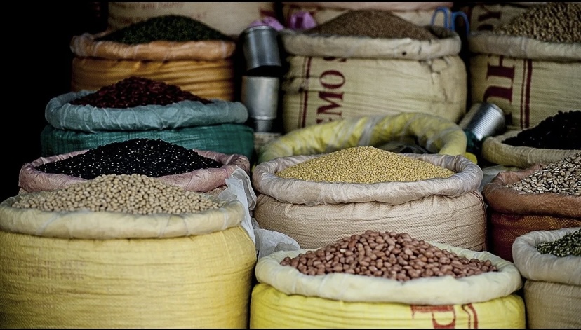 Baja el consumo de frijoles en México por estigma de ser “comida de pobres”: UNAM