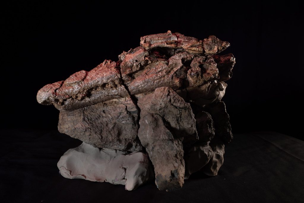 Hallan restos de un dinosaurio dentro de un cocodrilo prehistórico