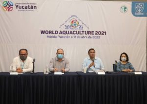 Yucatán será sede en mayo del Congreso más importante de Acuacultura a nivel mundial