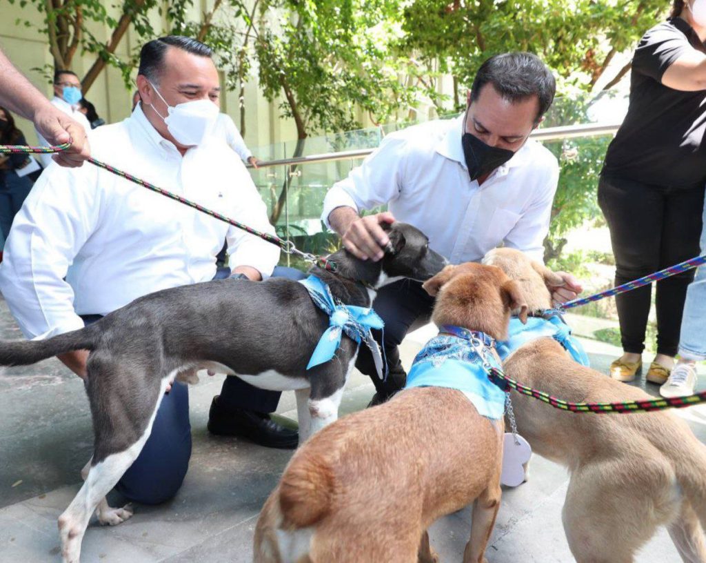 Anuncian el Gobernador Mauricio Vila Dosal y el Alcalde Renán Barrera Concha la creación del primer Hospital Veterinario Público del estado y todo el sureste