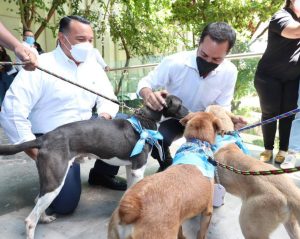 Anuncian el Gobernador Mauricio Vila Dosal y el Alcalde Renán Barrera Concha la creación del primer Hospital Veterinario Público del estado y todo el sureste