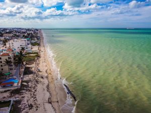 Presencia de marea roja en Yucatán no representa riesgo para la salud de los yucatecos, la actividad pesquera, ni la temporada vacacional￼