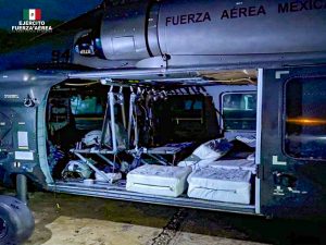 El Ejército y Fuerza Aérea Mexicanos, aseguran aeronave y cocaína en Campeche     