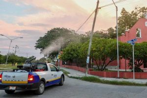 Realizan el segundo barrido de fumigación contra la plaga del mosco negro en Mérida   