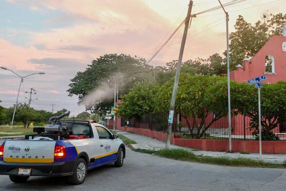Realizan el segundo barrido de fumigación contra la plaga del mosco negro en Mérida   