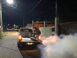 Acciones conjuntas entre la SSY y el Ayuntamiento de Mérida contra los moscos   