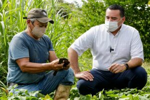 El Ayuntamiento de Mérida promueven estrategias para fortalecer la alimentación sostenible en las comunidades 