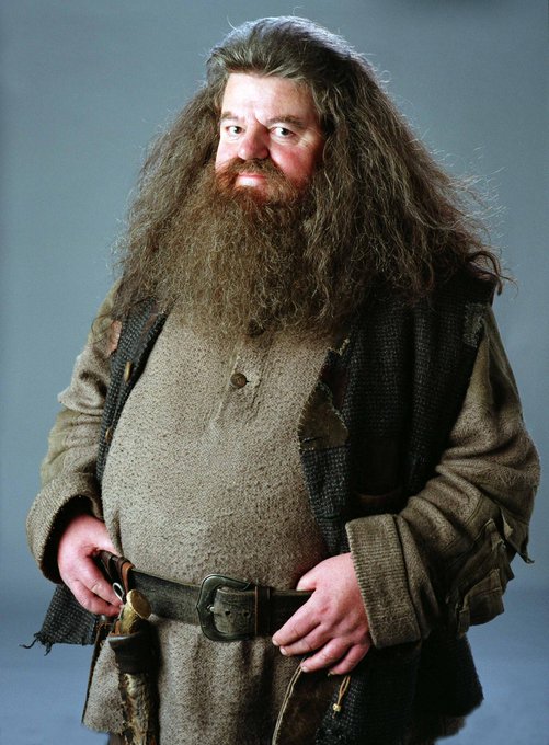 Muere el actor británico Robbie Coltrane, Hagrid en ‘Harry Potter’, a los 72 años 