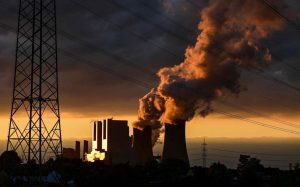 El cambio climático ya provoca extinción completa de especies 