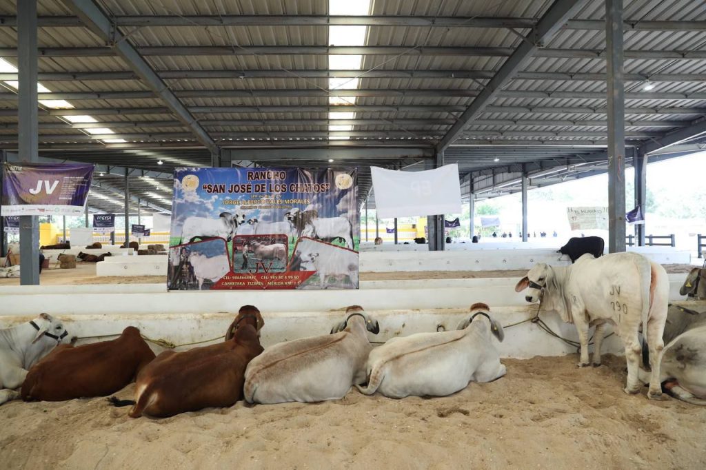 Amplia oferta de espectáculos y atracciones para toda la familia, en la Feria Yucatán Xmatkuil