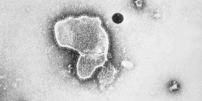 Virus VSR, otra amenaza de pandemia