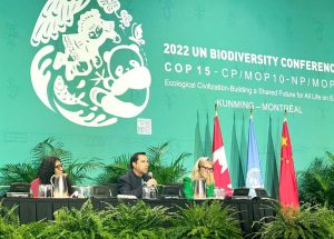 Expone Vila Dosal acciones en Yucatán para proteger al medio ambiente como parte de su participación en la COP15, en Canadá