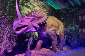 Expo Dinosaurios llega a Tizimín, Valladolid y Mérida para el disfrute de las familias yucatecas 