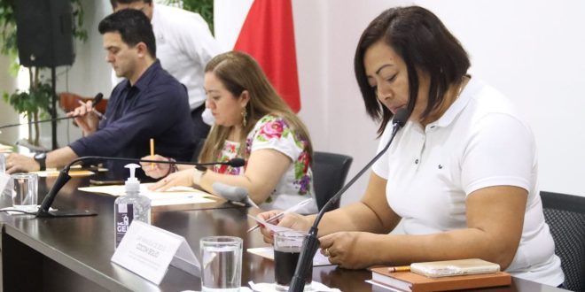 Comisión del Congreso aprueba el dictamen de la Primera entrega de informes 