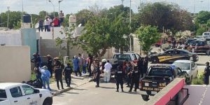 Sigue prófugo dueño de los pitbulls que atacaron a un joven en Ciudad Caucel
