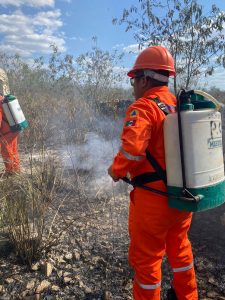 Con 190 reportes de incidentes inició temporada de incendios en Yucatán: Procivy