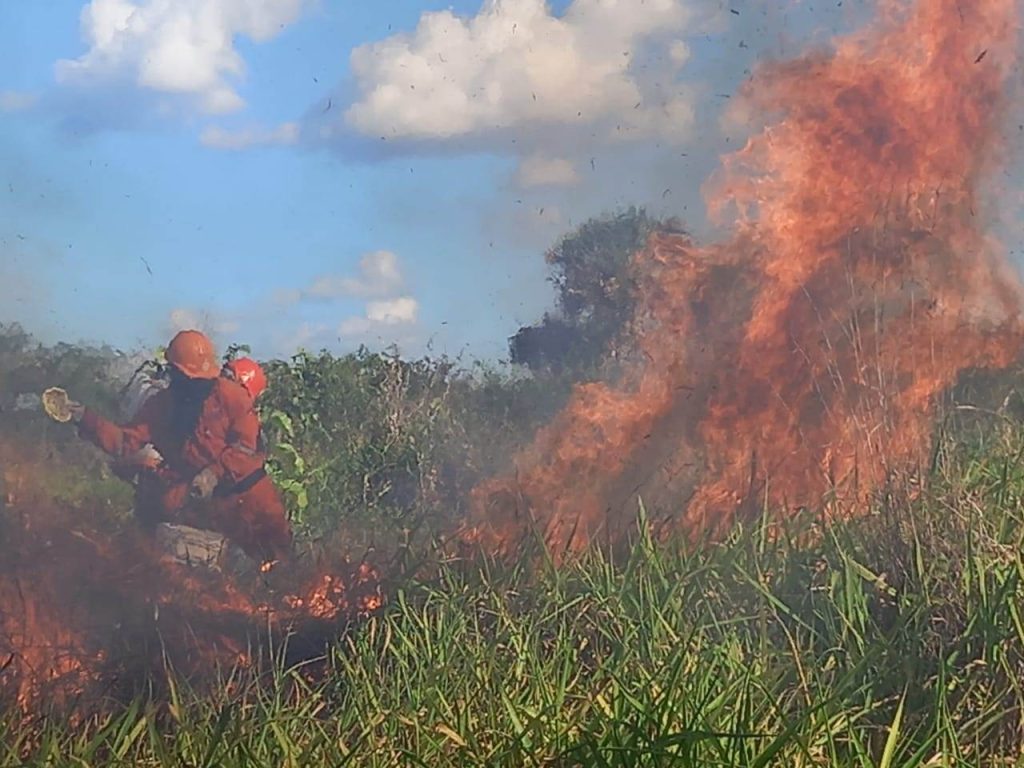 Ligera disminución de reportes de incendios; llama Procivy a mantener la prevención
