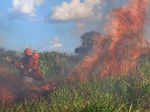 Ligera disminución de reportes de incendios; llama Procivy a mantener la prevención