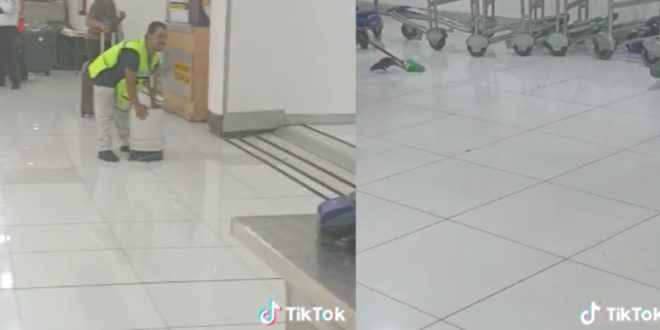 Rata causa caos en Aeropuerto de CDMX
