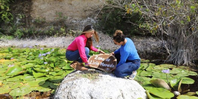 Acuaparque rehabilitado para el disfrute de las familias