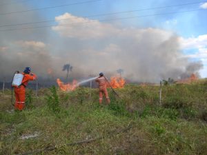 Atento llamado a la prevención de incendios de parte de Procivy 