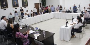 Comisiones unidas programan reuniones de trabajo