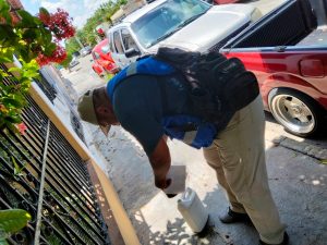 Realiza la SSY acciones continuas de prevención contra el dengue
