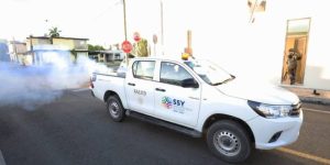 Gobierno del Estado intensifica labores de fumigación contra mosco transmisor del dengue