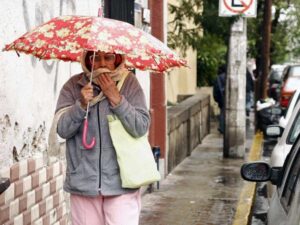 Regresa el fresco a Yucatán