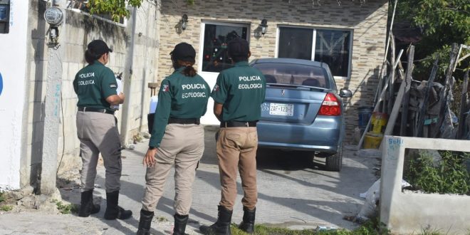 “Ayuntamiento en Acción” invita a progreseños a mantener los frentes de sus casas limpios