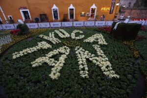 Más de 408 mil yucatecos disfrutaron del Paseo Navideño de las Flores