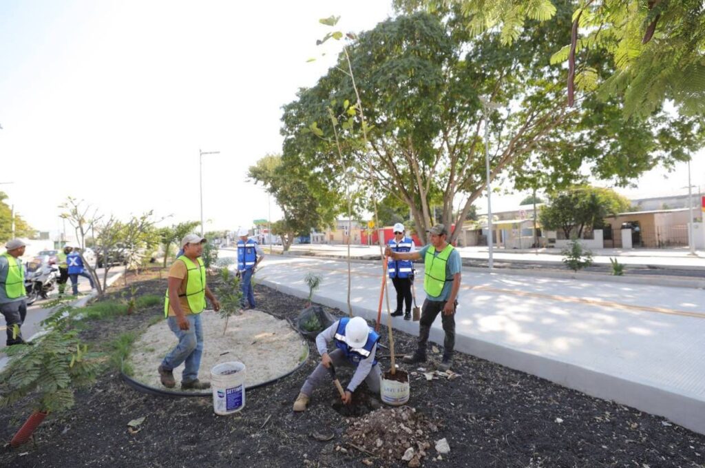 Continúan las acciones de arborización para impulsar un Yucatán más verde y sustentable