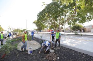 Continúan las acciones de arborización para impulsar un Yucatán más verde y sustentable