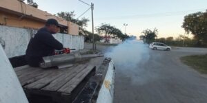 El Ayuntamiento de Progreso no baja la guardia en el tema de la fumigación 