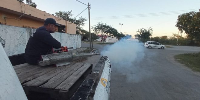 El Ayuntamiento de Progreso no baja la guardia en el tema de la fumigación 