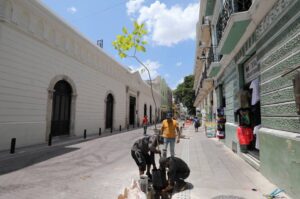 Avanza la plantación de árboles en el Corredor Turístico y Gastronómico en el Centro Histórico